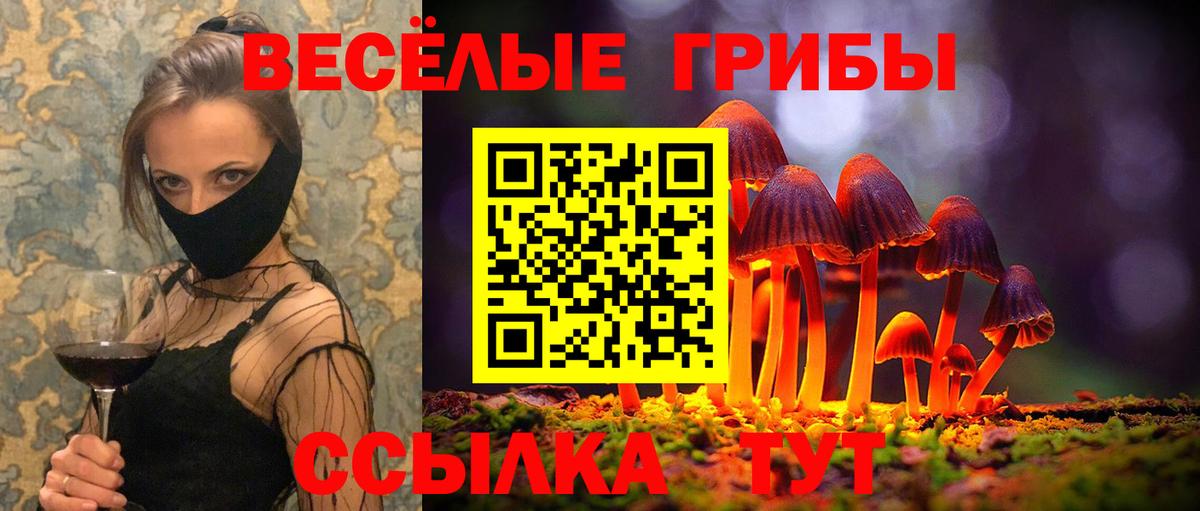 дарнет шоп  Вход с VPN  Искитим  Галлюциногенные грибы Cubensis 